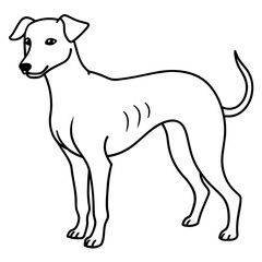      Dog vector illustration with line art.
