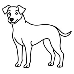      Dog vector illustration with line art.
