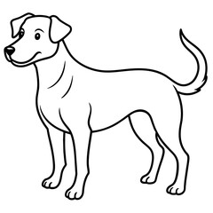     Dog vector illustration with line art.
