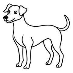      Dog vector illustration with line art.
