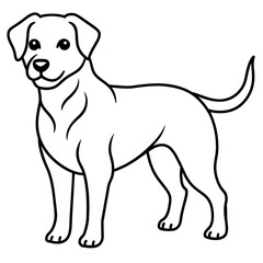      Dog vector illustration with line art.

