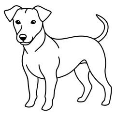      Dog vector illustration with line art.

