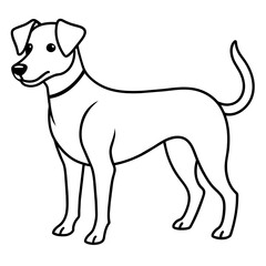      Dog vector illustration with line art.
