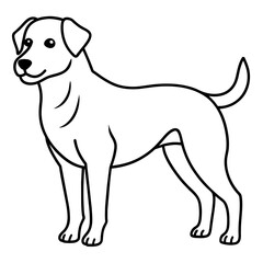      Dog vector illustration with line art.
