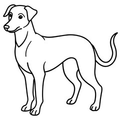      Dog vector illustration with line art.
