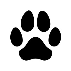 Dog's paw or footprint on transparent © infinity