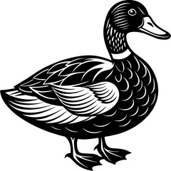 duck isolated on white, black duck silhouette vector illustration,icon,svg,pet,duck characters,Holiday t shirt,Hand drawn trendy Vector illustration,duck on black background