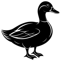 duck isolated on white, black duck silhouette vector illustration,icon,svg,pet,duck characters,Holiday t shirt,Hand drawn trendy Vector illustration,duck on black background