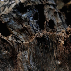 Wooden 
