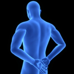 Human Suffering with Severe Back Pain Anatomy