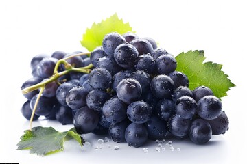 A bunch of ripe dark blue grapes with leaves glistening with water droplets, isolated on white...