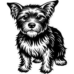      Dog  silhouette  vector illustration.
