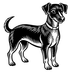      Dog  silhouette  vector illustration.
