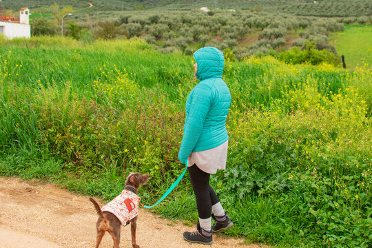 hiker strolls through the meadow, under the watchful eye of his faithful companion.