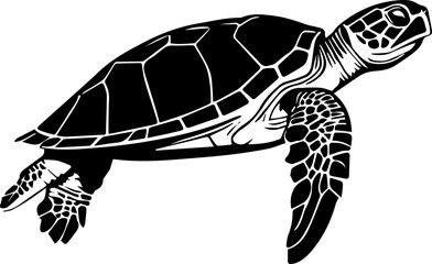 Series of illustrated Sea Turtles in black white for illustration, design, printing