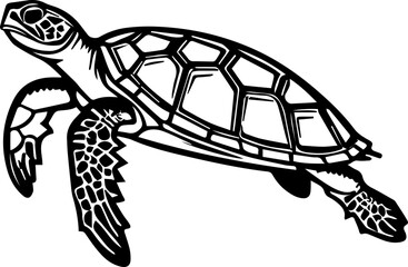 Series of illustrated Sea Turtles in black white for illustration, design, printing