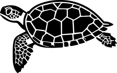 Fototapeta premium Series of illustrated Sea Turtles in black white for illustration, design, printing