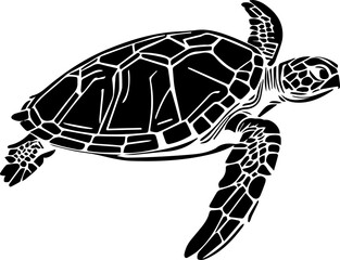 Series of illustrated Sea Turtles in black white for illustration, design, printing
