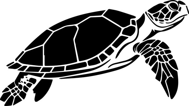 Series of illustrated Sea Turtles in black white for illustration, design, printing