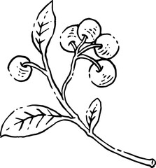 Wild flower branch hand drawn illustration.