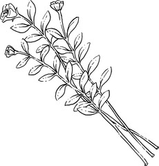 Wild flower branch hand drawn illustration.