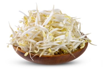 Fresh mung bean sprouts in a wooden bowl isolated on white background