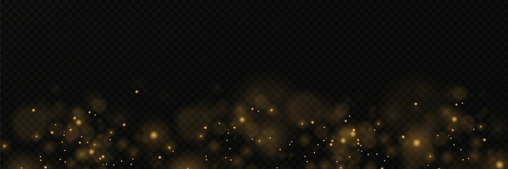
Sparkling gold particles, glowing lights isolated on transparent background.