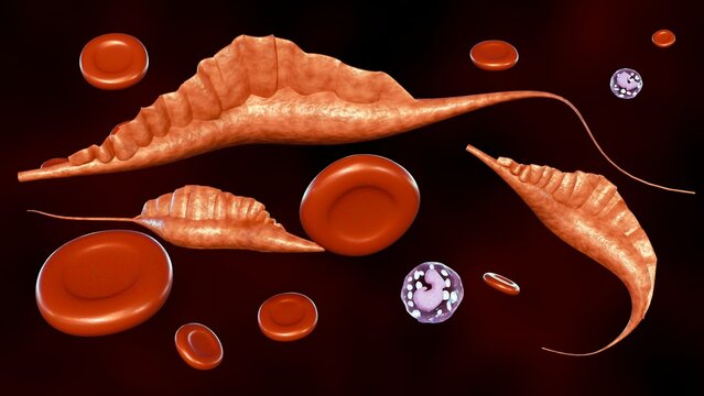 3d rendering protozoans of the genus Trypanosoma, it causes Human African trypanosomiasis, also known as sleeping sickness,