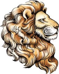 Lion head illustration, Side face - obrazy, fototapety, plakaty