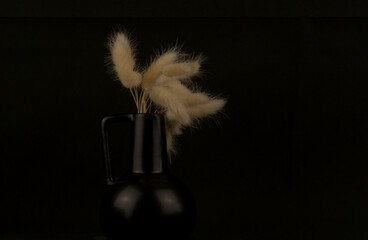 Still life with pampas bunny tails