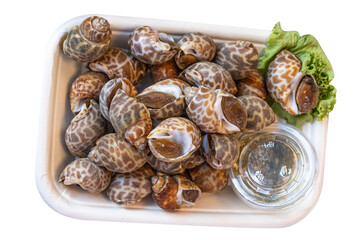 Thai sea food - Spotted babylon has a white bark surface. It has dark brown markings. The dots are spaced far apart. The flesh is soft and juicy, not hard, and has a clear sweet taste.