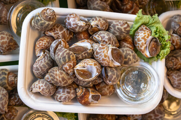 Thai sea food - Spotted babylon has a white bark surface. It has dark brown markings. The dots are spaced far apart. The flesh is soft and juicy, not hard, and has a clear sweet taste.