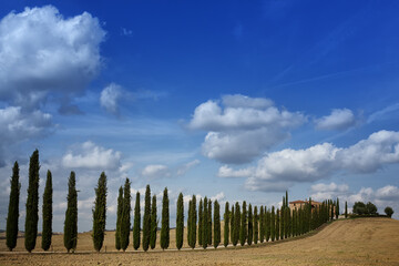 Obraz premium Beautiful Landscapes of Tuscany/ Italy