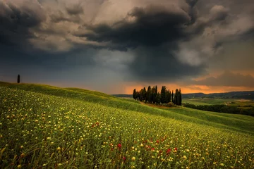 Foto auf Glas Beautiful Landscapes of Tuscany/ Italy © Dieter Weck