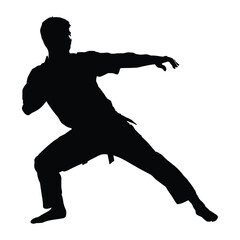Obraz premium Martial arts Silhouette