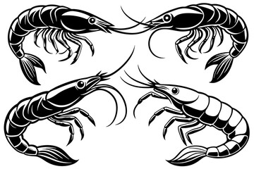 shrimp-6-set-vector-illustration