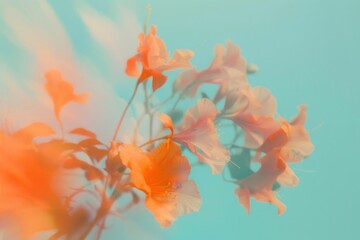 Bright orange flowers in a vase on a vibrant blue and turquoise background with copy space