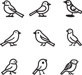 Obraz na płótnie Canvas Birds thin line icons on white background