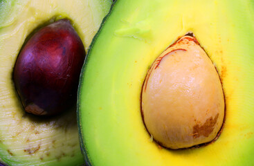avocado seeds of a green ripe tropical fruit cut in half