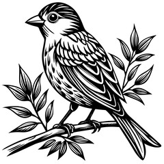 Bird on a branch vector illustration.