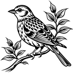 Bird on a branch vector illustration.