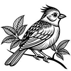 Bird on a branch vector illustration.