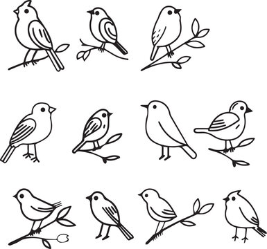 Birds thin line icons on white background