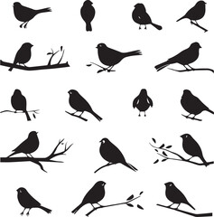 Birds silhouette icons on white background