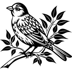 Bird on a branch vector illustration.