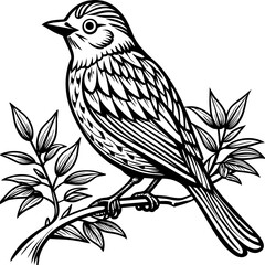     Bird on a branch vector illustration.

