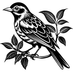     Bird on a branch vector illustration.

