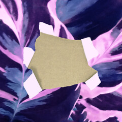 Torn hole purple leaves paper. Creative natural frame idea.