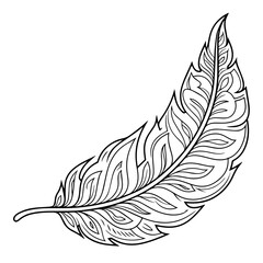 Vector outline icon featuring a delicate feather, perfect for designs.