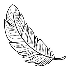 Vector outline icon featuring a delicate feather, perfect for designs.
